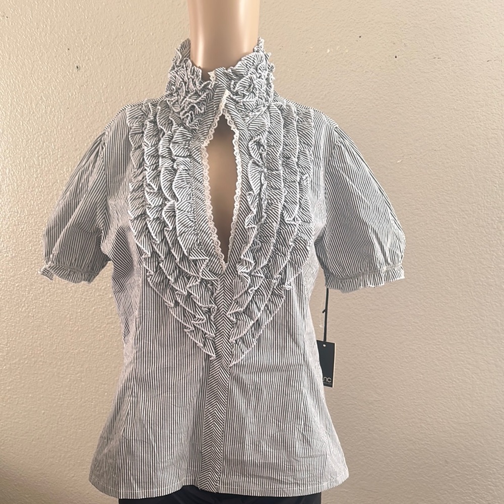 Zinc Blue Ruffled Bib Collar Blouse